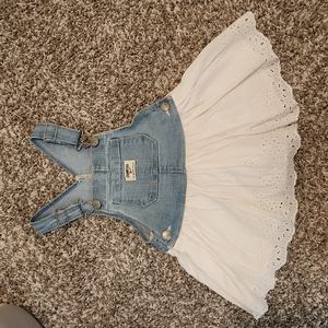 Oshkosh 2T dress